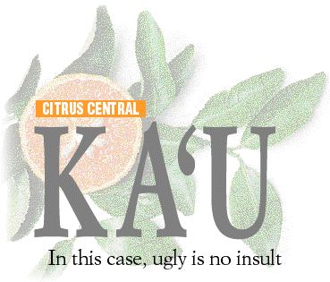 Ka'u -- In this case, ugly is no insult