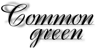 Common green