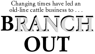 Changing times have led an old-line cattle business to . . . BRANCH OUT