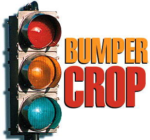 Bumper crop