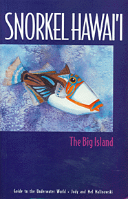 Surf Book