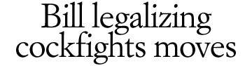Bill legalizing cockfights moves ahead