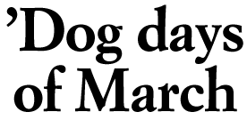 'Dog Days Of March