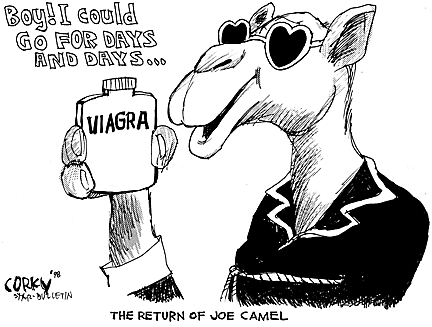 Corky Political Cartoon