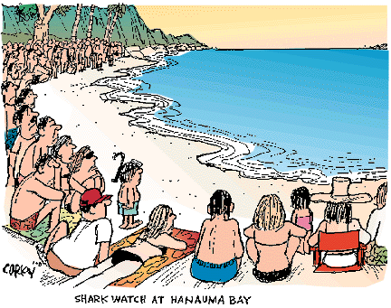 Corky's Hawaii cartoon