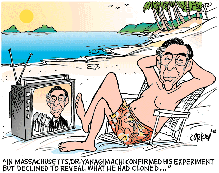 Corky's Hawaii cartoon
