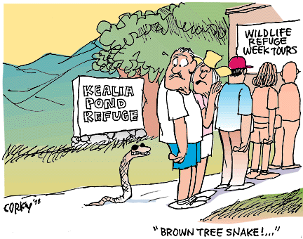 Corky's Hawaii cartoon