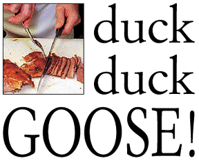 duck duck GOOSE!