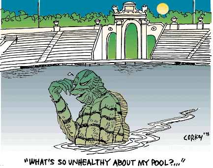 Corky's Hawaii cartoon