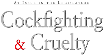 At Issue in the Legislature--Cockfighting & Cruelty