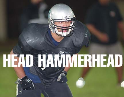 He's the head Hammerhead