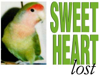 Sweetheart lost