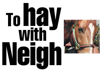 To hay with Neigh