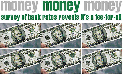 Money Money Money - Survey of bank rates reveals it's a fee-for-all