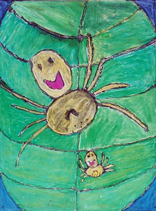 happy face spider hawaii. quot;Happy Face Spider,quot; by Shanna