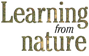 Learning from nature