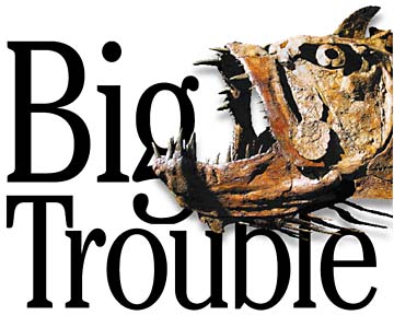 Big trouble