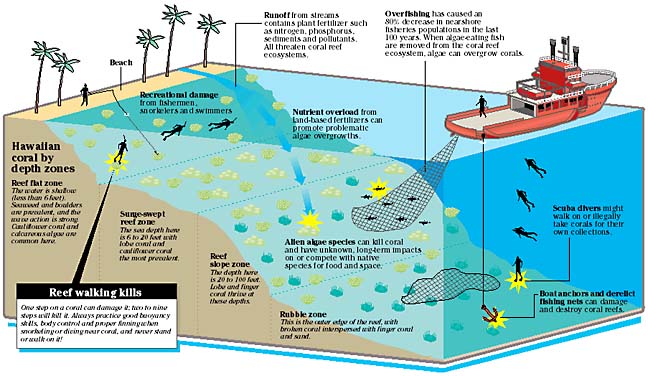 The top threats to coral reefs