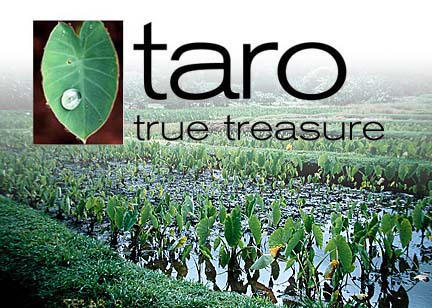 Taro: True treasure