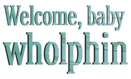 Welcome, baby wholphin