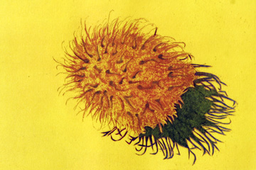 art