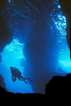 DIVE KAUAI