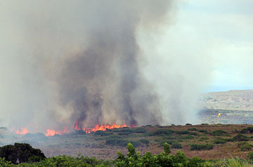artfire