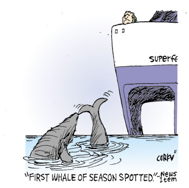Corky's Hawaii cartoon
