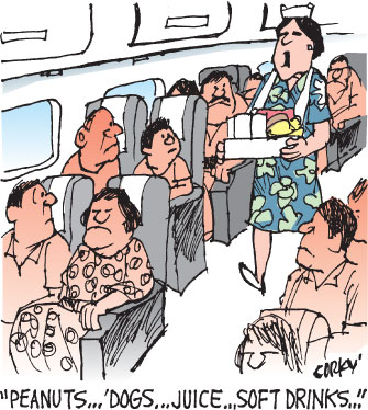 Corky's Hawaii cartoon