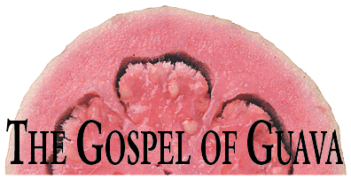 The Gospel of Guava