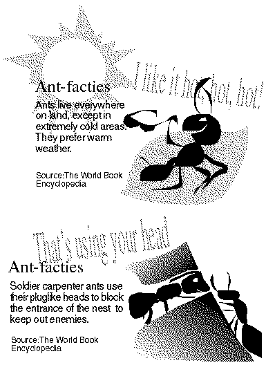 Kids Only - Kid Facts