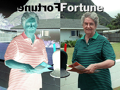 Fortune