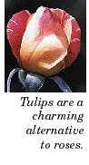 Tulips are a charming alternative to roses.