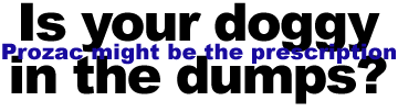 Is your doggy in the dumps?