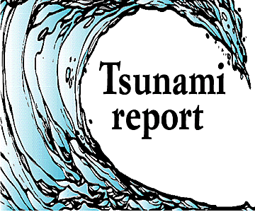 Tsunami report