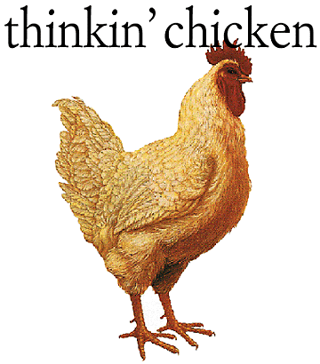 thinkin' chicken