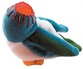 bird