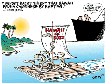 Corky's Hawaii cartoon