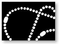 Cyanotech