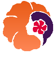 Hawaiian Air