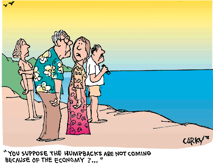 Corky's Hawaii cartoon