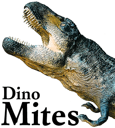 Dino Mites