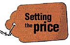 Setting the Price