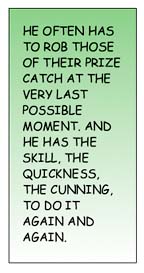 He often has to rob those of their prize catch at the very last possible moment. ANd he has the skill, the quickness, the cunning, to do it again and again.