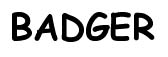  badger 