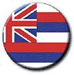 Flag Button art