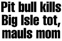 Pit bull kills Big Isle tot, mauls mom