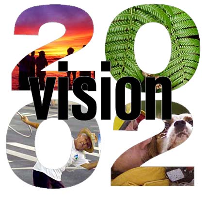 Vision 2002
