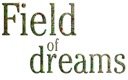 Field of dreams