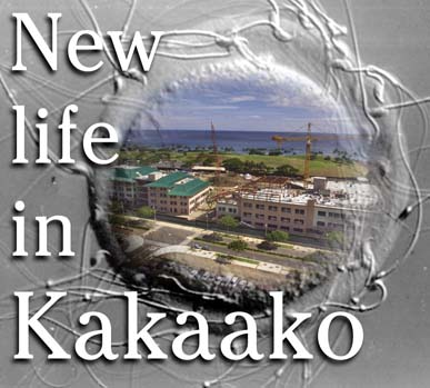 New life in Kakaako